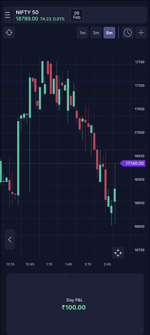 Day P&L chart screen